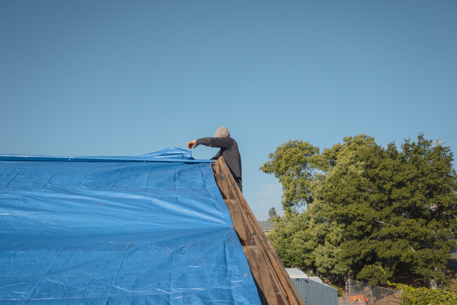 Roofer adjusting blue tarp covering exposed roof decking